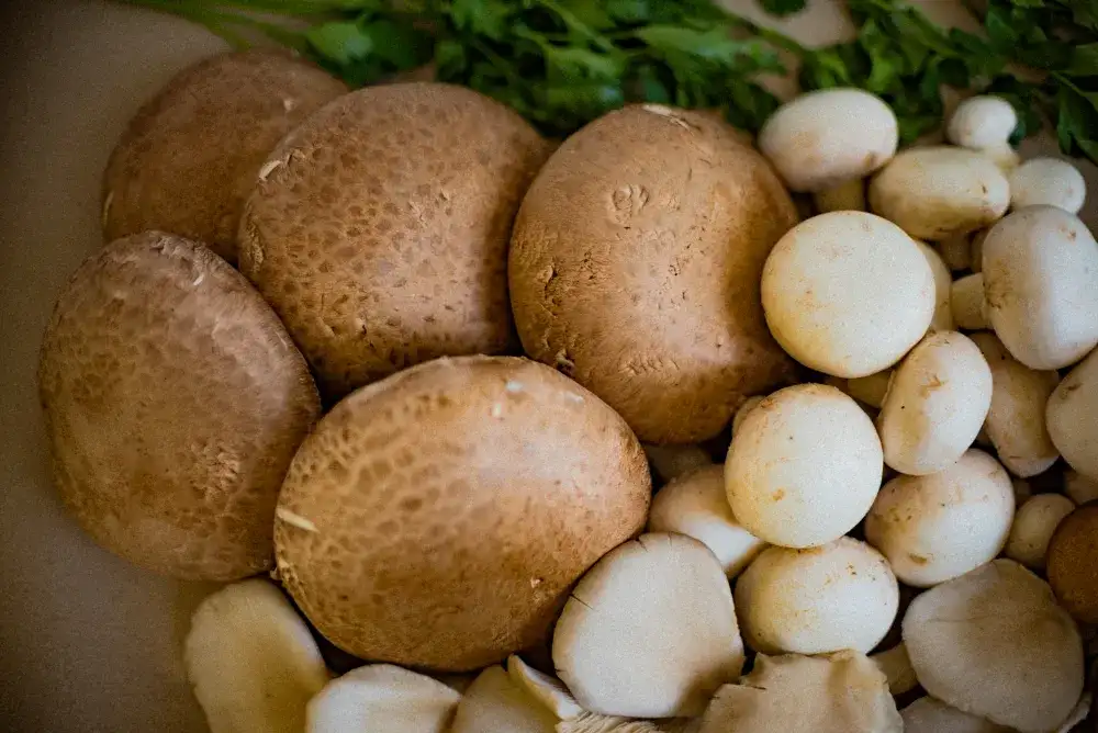 Ile gotować pieczarki w zupie, aby były idealnie miękkie?