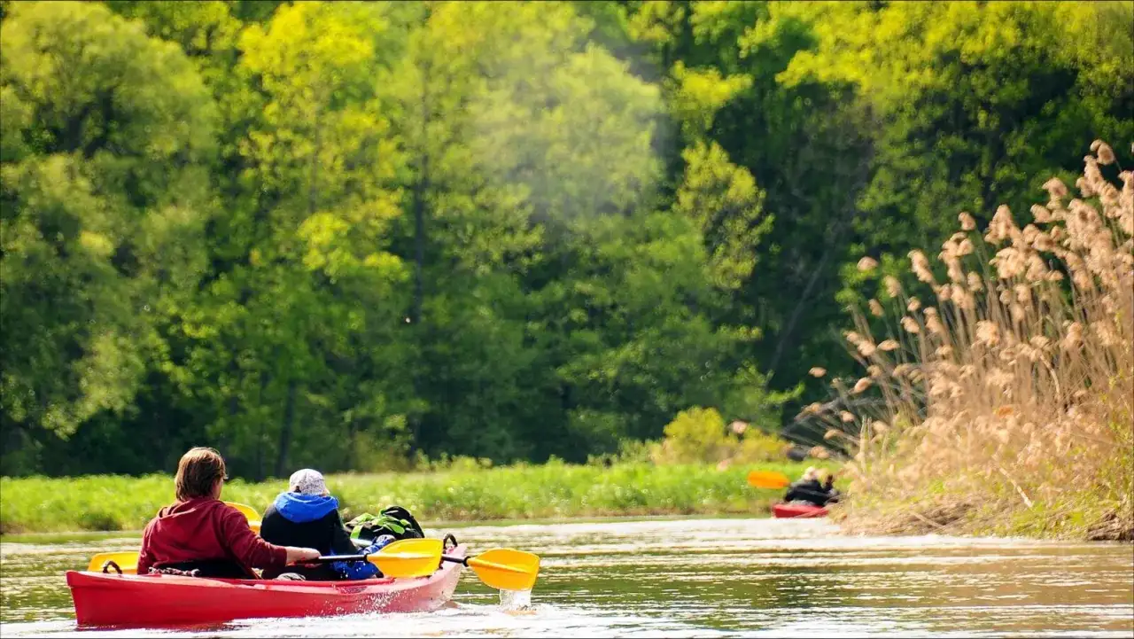 Najlepsze rzeki na kajaki w Polsce: przewodnik po trasach i kosztach