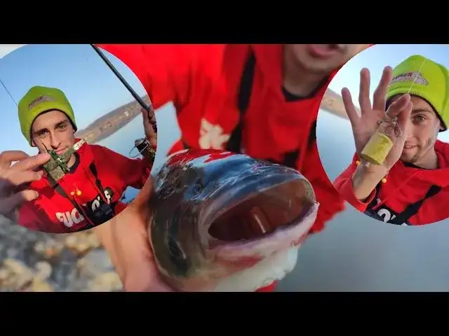 Jak złowić tołpygę na wędkę - sprawdzone metody i skuteczne przynęty