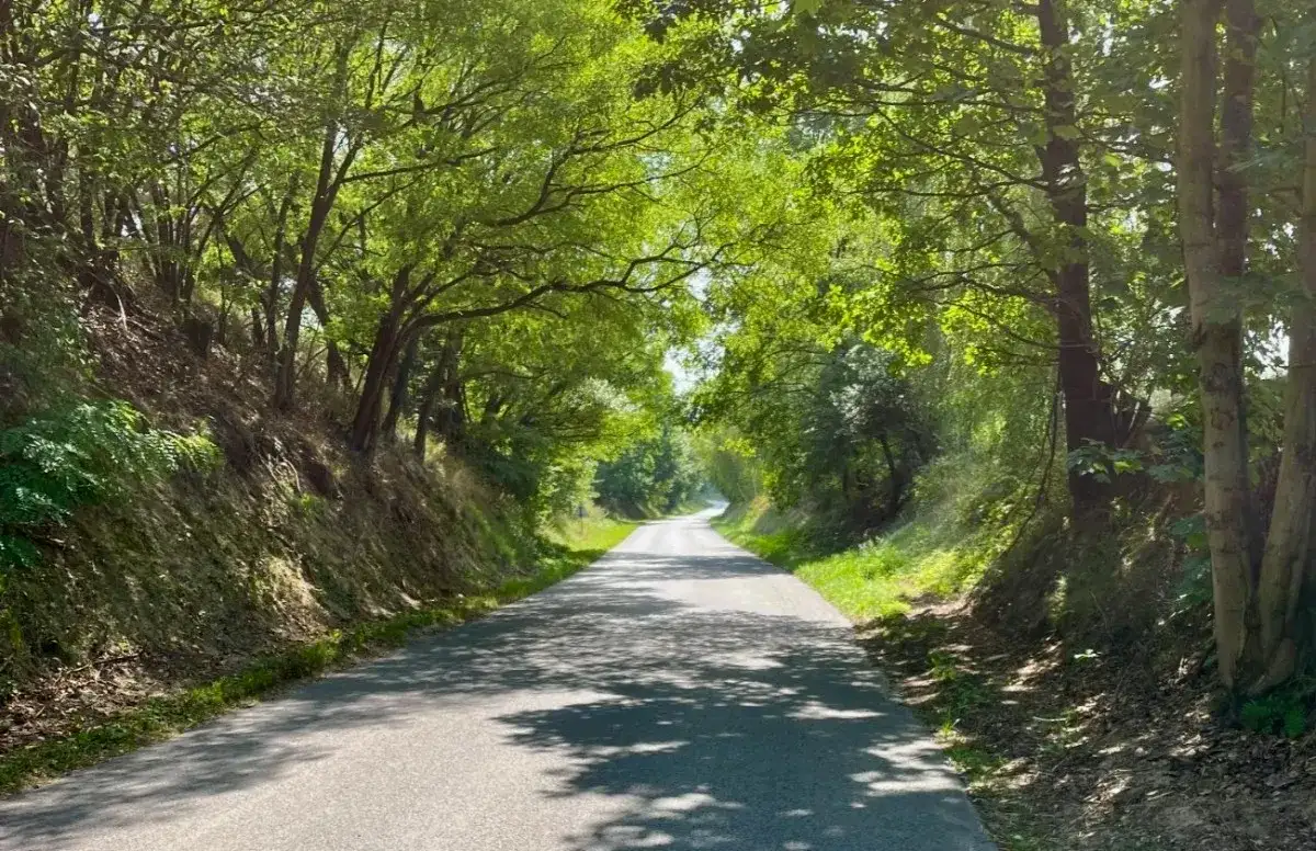 Malownicze trasy motocyklowe w Lubelskim - odkryj ukryte skarby