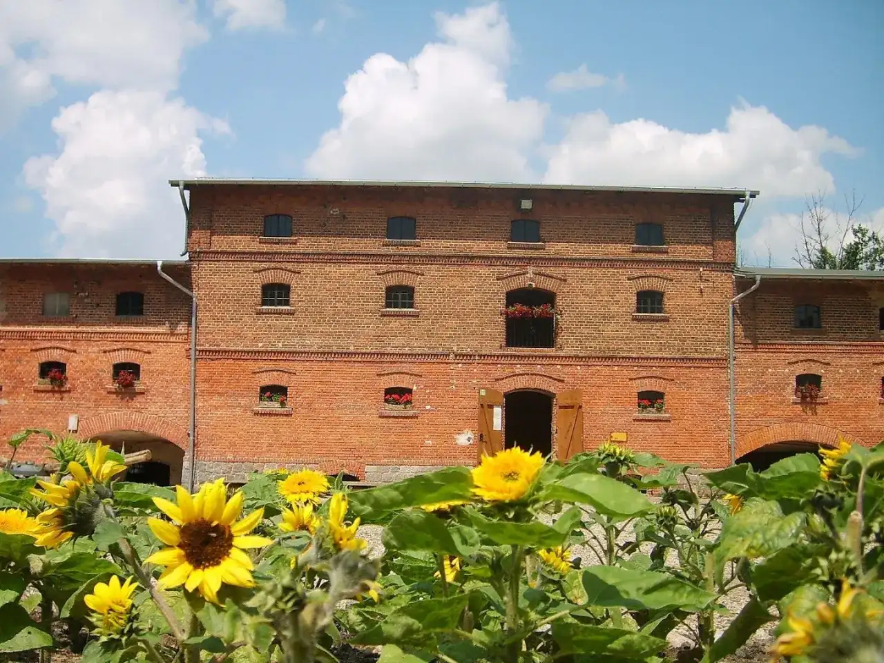 Mniszki Skansen – odkryj fascynujące rzemiosła i lokalną historię