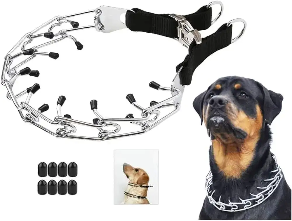 Smycz kolczatka - poznaj prawdę o bezpieczeństwie i skuteczności tresury