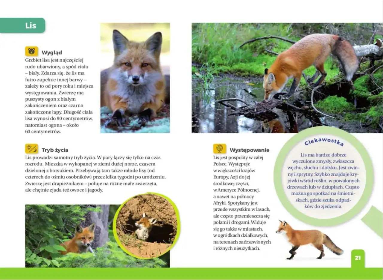 Zwierzę dla dziecka z autyzmem? Wybierz mądrze! Poradnik Macieja Jabłońskiego