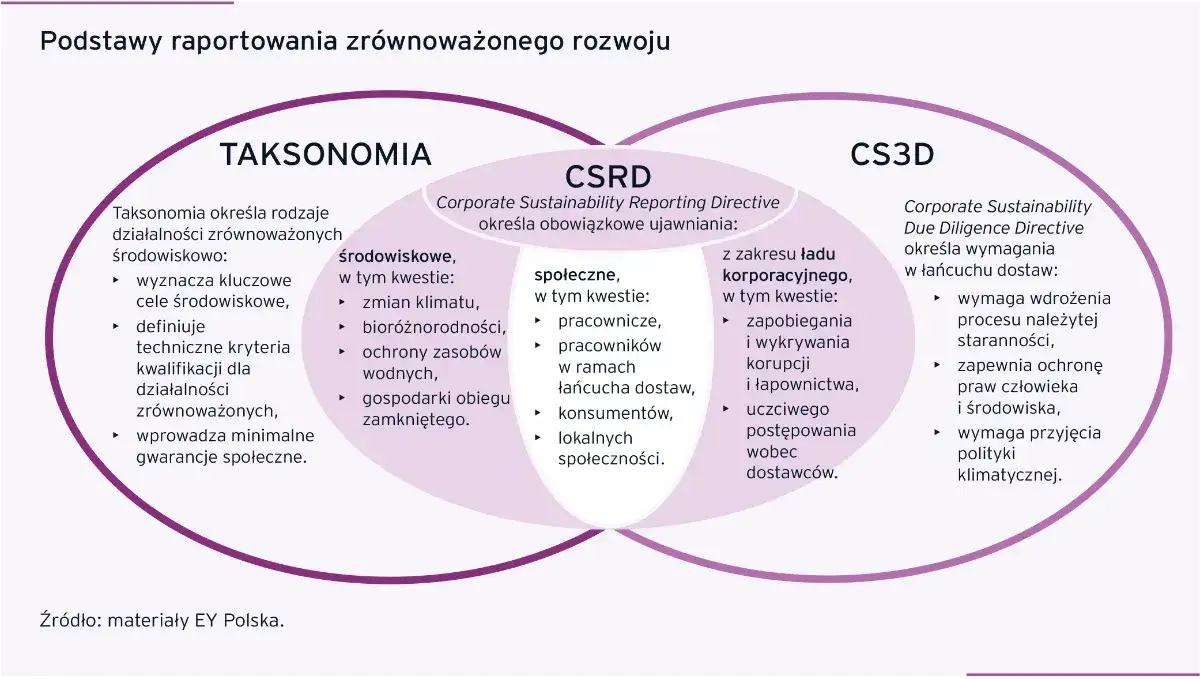 Raport zrównoważonego rozwoju: Kluczowe informacje i przykłady firm
