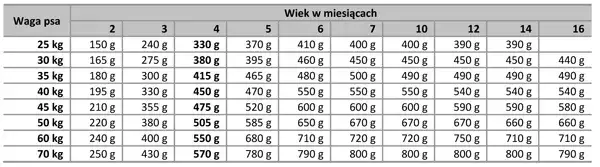 Jak wiek psa wpływa na to, ile powinien jeść szczeniak? Zobacz tabelę!