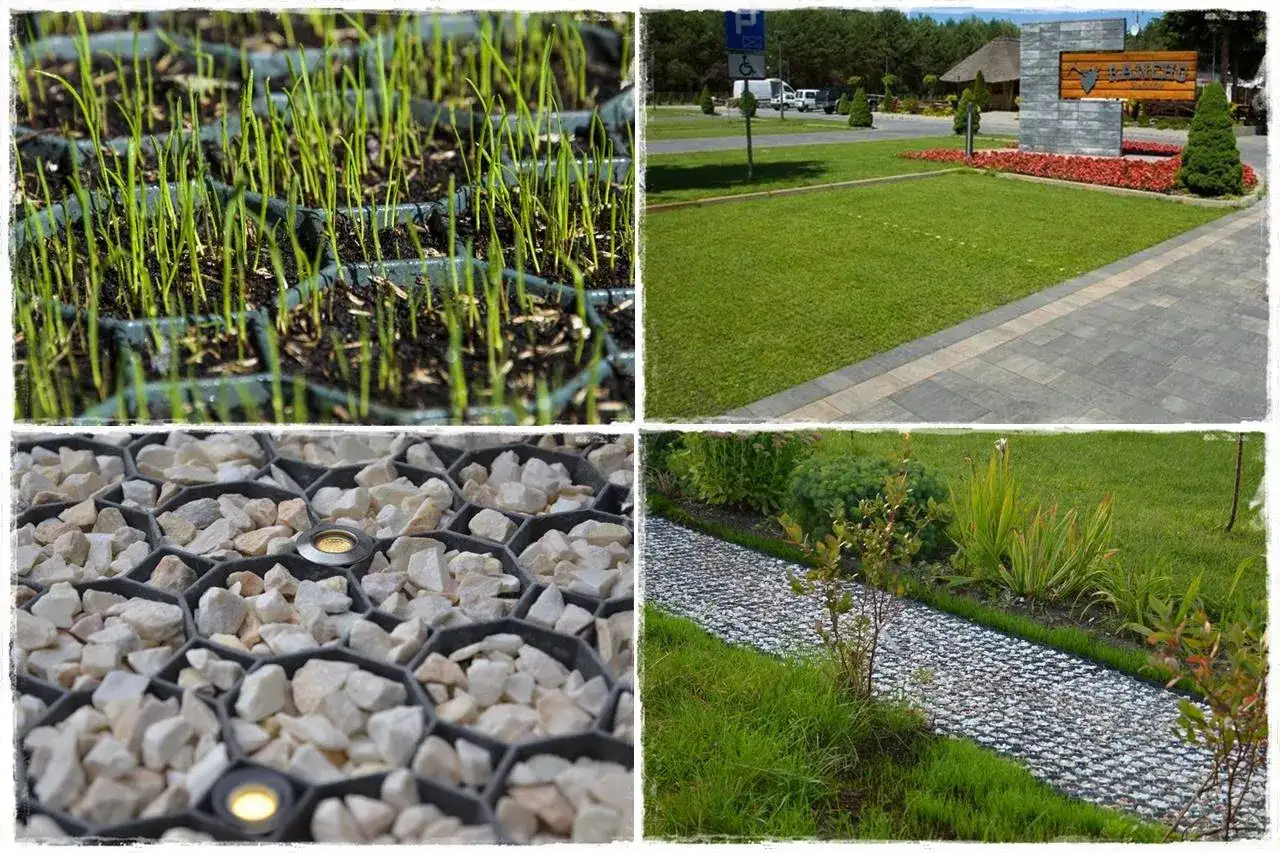 Jaką trawę na podjazd wybrać, by uniknąć problemów z pielęgnacją?