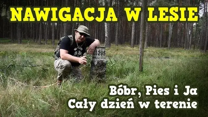 Najlepsze aplikacje do nawigacji w lesie - jak wyjść z lasu