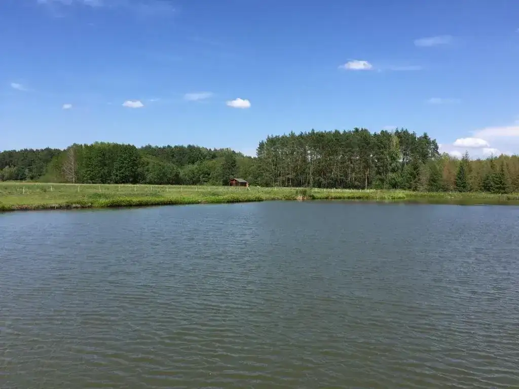 Łowisko Łazy – idealne miejsce na wędkowanie i relaks w naturze