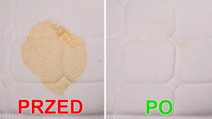Jak wyczyścić materac z moczu kota i pozbyć się nieprzyjemnych zapachów