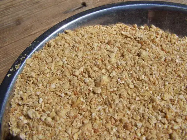 Owies dla królika: Ziarno, płatki, ziele co wybrać?