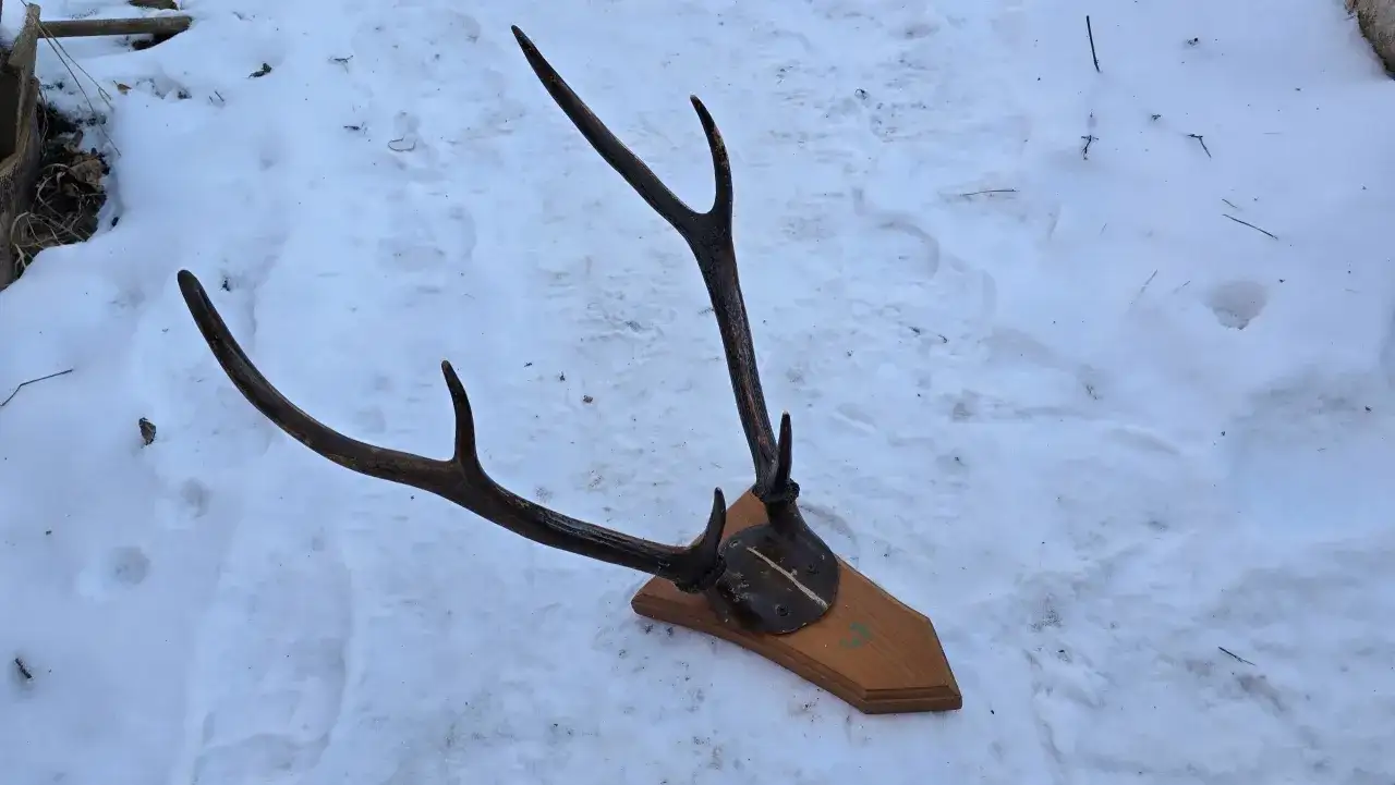 Żyrandol z poroża: Jak stworzyć bezpieczną i piękną lampę DIY?