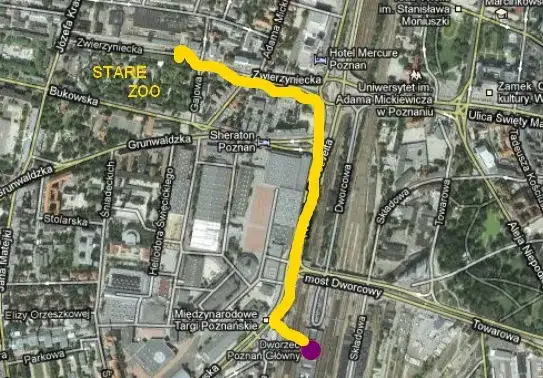 Jak dojechać z dworca PKP do zoo w Poznaniu - proste trasy i porady