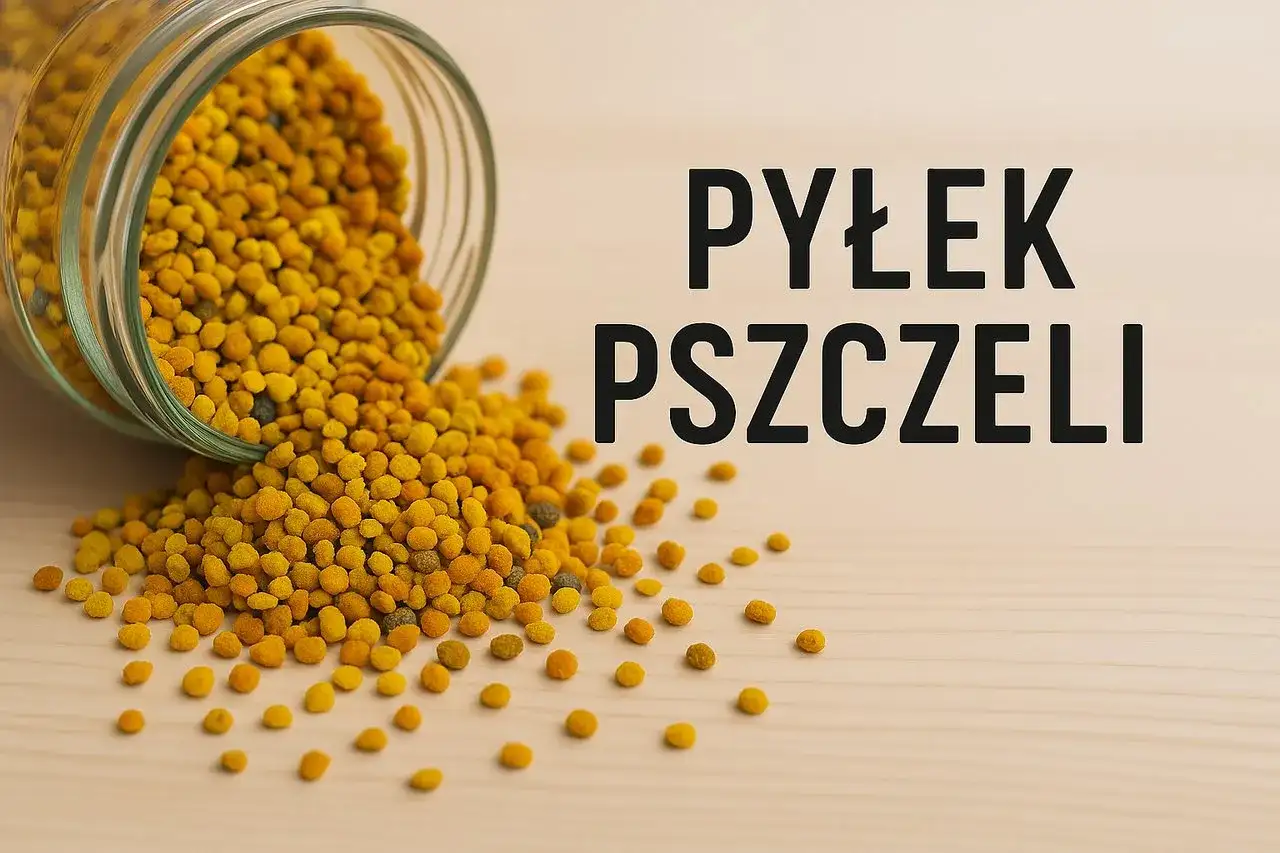 Pyłek pszczeli: Jak zażywać, by w pełni wykorzystać jego moc?