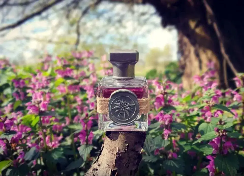 Gdzie kupić perfumy bez i agrest? Sprawdź najlepsze oferty!