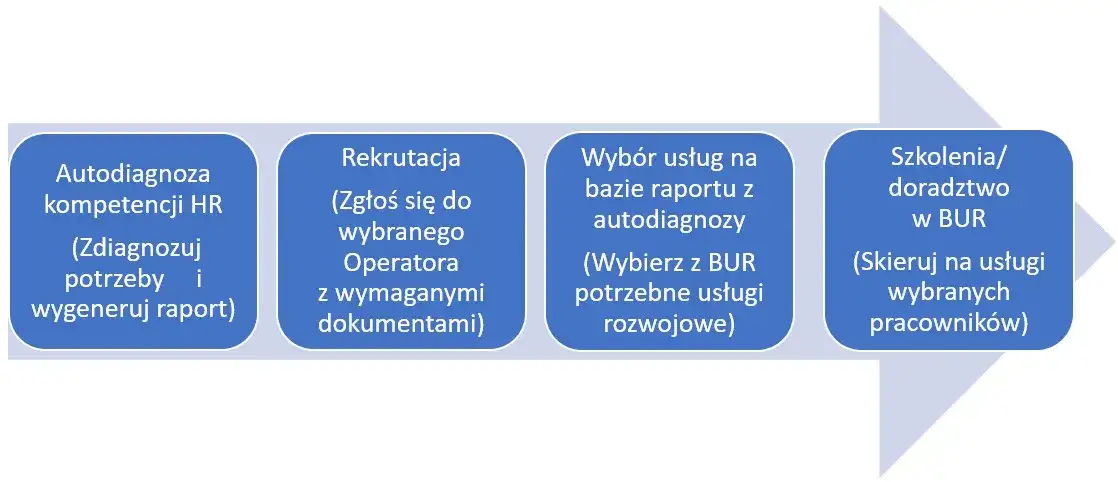 Dofinansowanie z BUR: Kto może skorzystać? Przewodnik dla MŚP