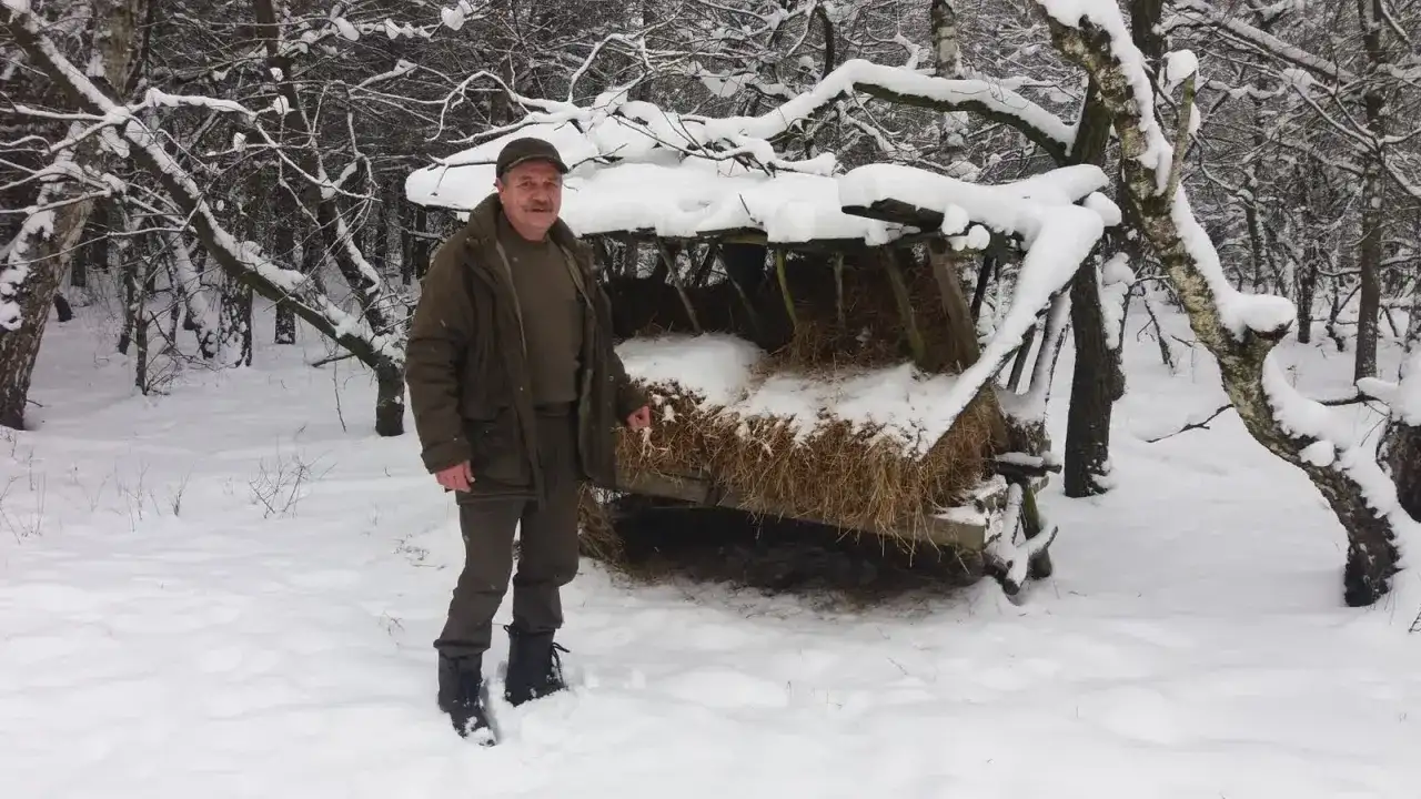 Mężczyzna w zimowym lesie przy paśniku z sianem.