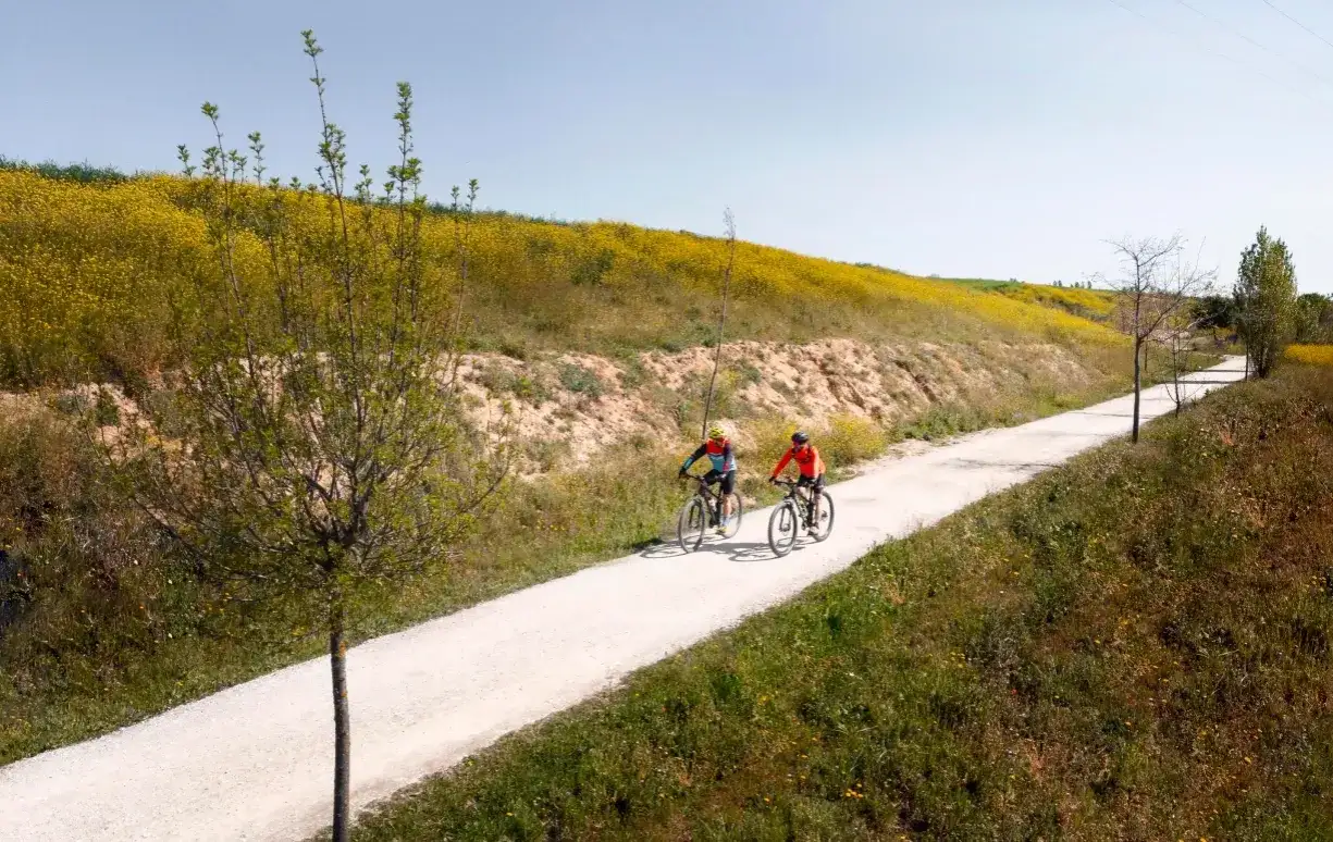 Najpiękniejsze trasy rowerowe w Polsce, które zachwycą każdego cyklistę