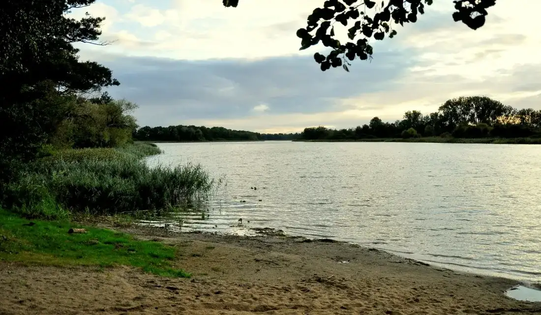 Jezioro Myśliborskie: raj dla wędkarzy i miłośników żeglarstwa