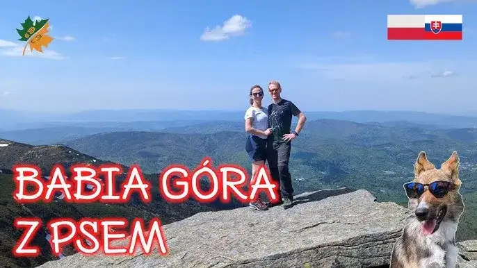 Babia Góra z psem? Jedyna legalna droga na szczyt!