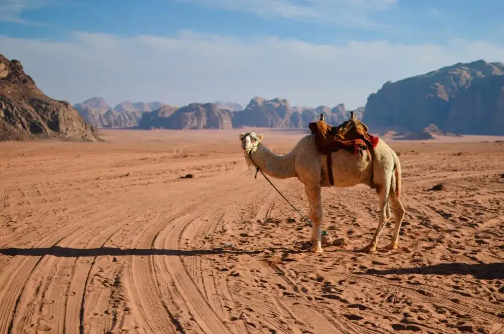 Jordania czy jest bezpiecznie? Sprawdź, co musisz wiedzieć przed podróżą