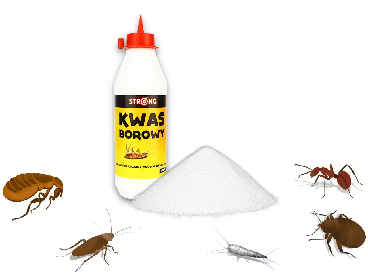 Prusaki w bloku? Skuteczny poradnik: pozbądź się ich raz na zawsze!