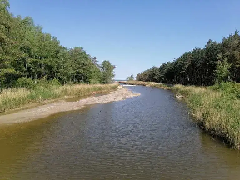 Najlepsze trasy rowerowe w Dąbkach – odkryj malownicze szlaki