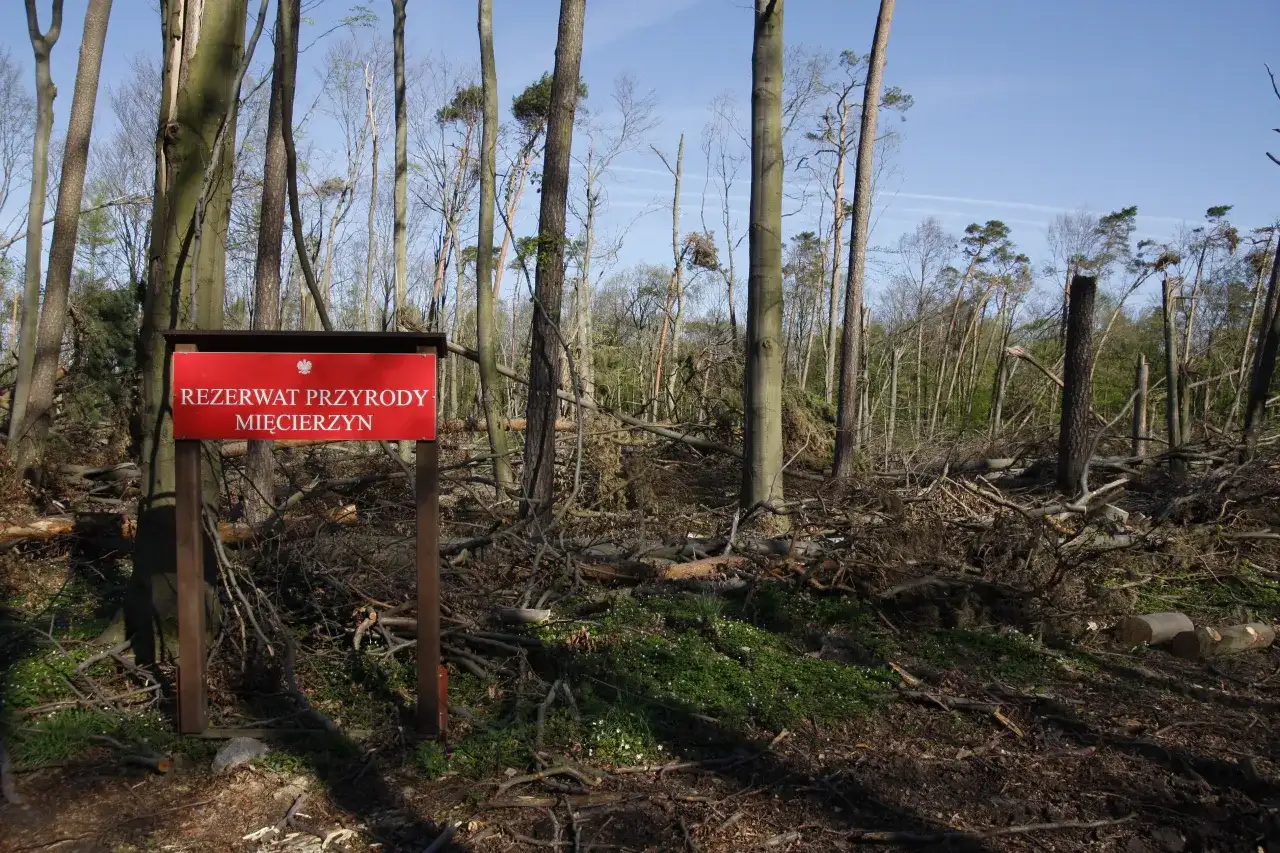 Rezerwat przyrody definicja - co warto wiedzieć o ochronie przyrody