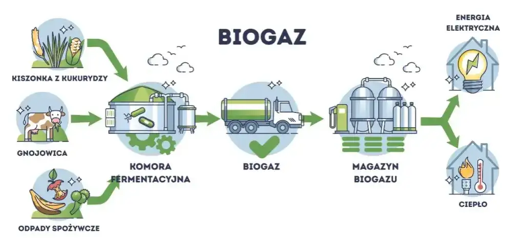Skuteczne metody recyklingu: jak zmniejszyć odpady i zyskać więcej