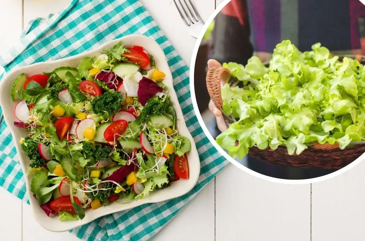 Jak uratować gorzką sałatkę i przywrócić jej smak w kilka chwil