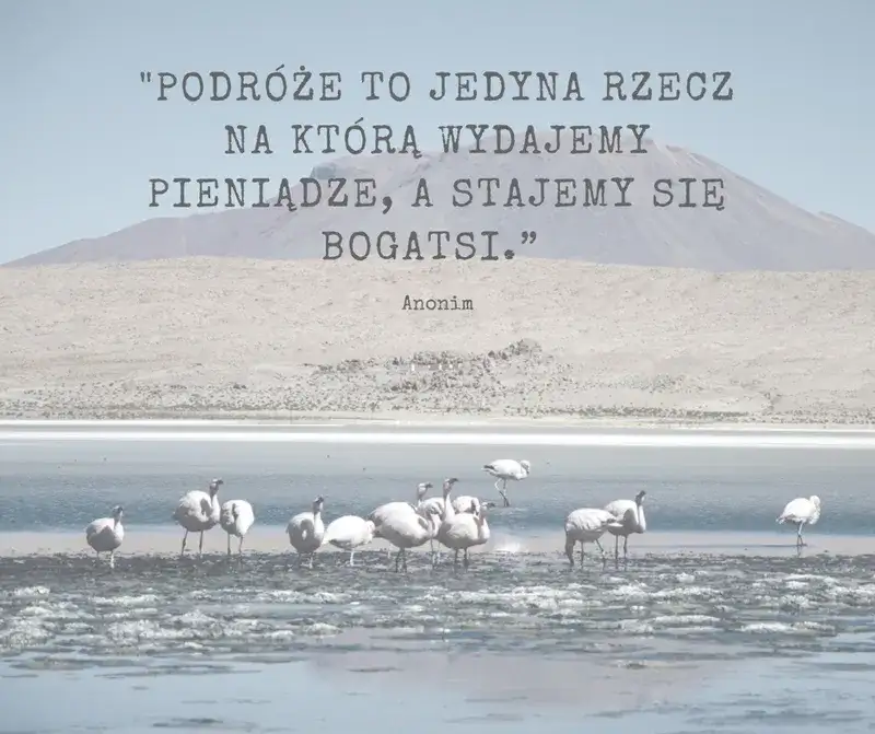 Poznaj najpiękniejsze krótkie cytaty o lecie i wakacyjnych chwilach