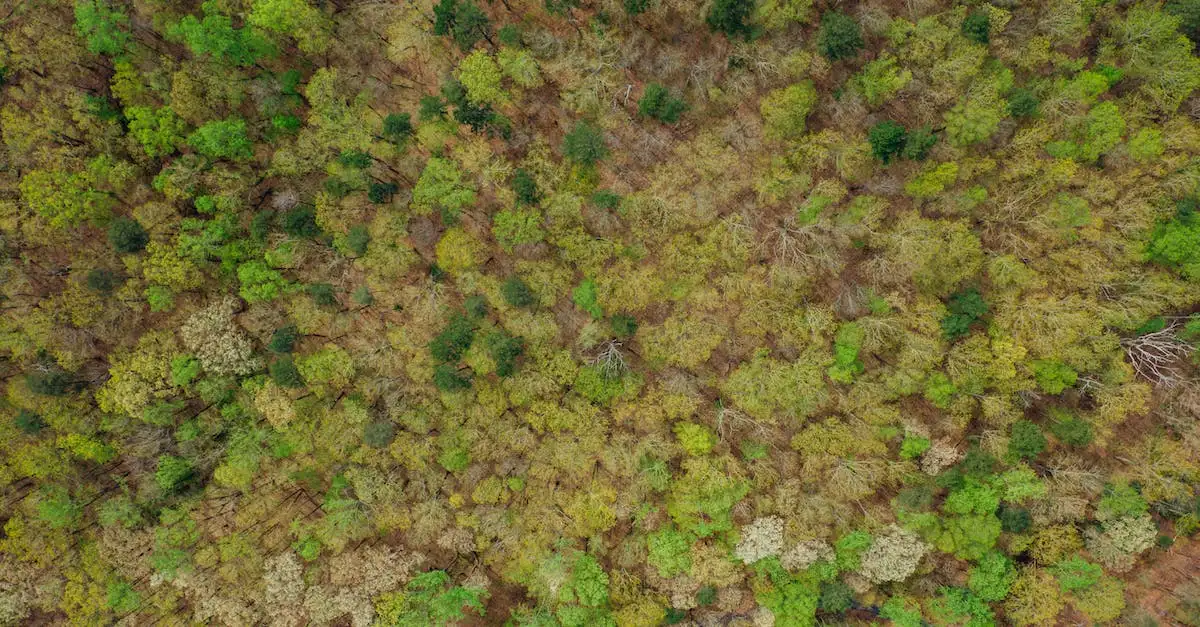  Odcienie koloru zielonego - poznaj całą gamę zieleni i zainspiruj się!