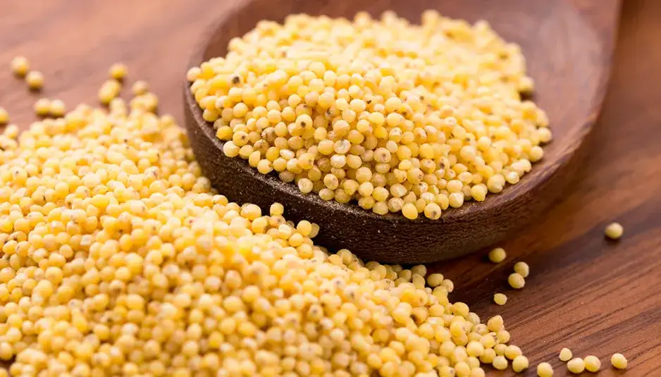 Kasza jaglana jak wygląda? To są jej właściwości i zastosowania