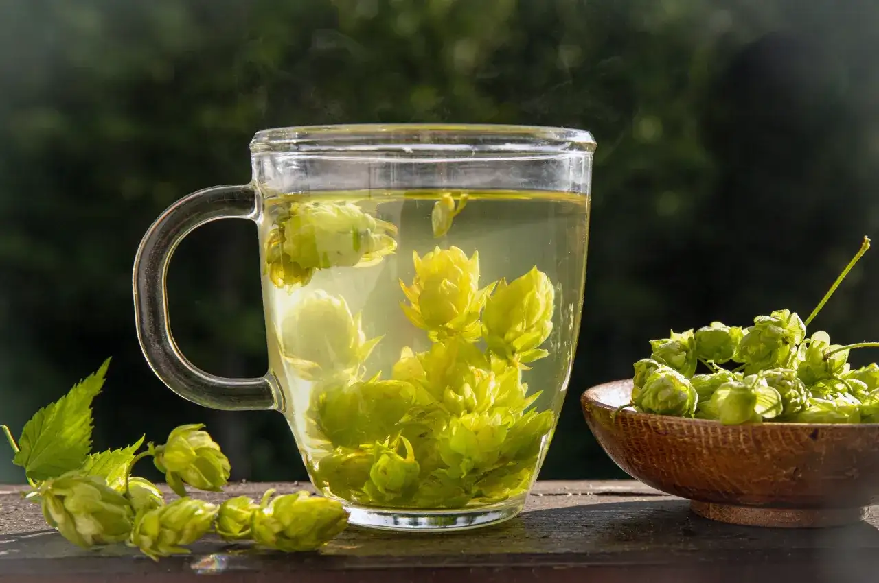 Gdzie kupić herbatę z szyszek chmielu: najlepsze sklepy online i stacjonarne