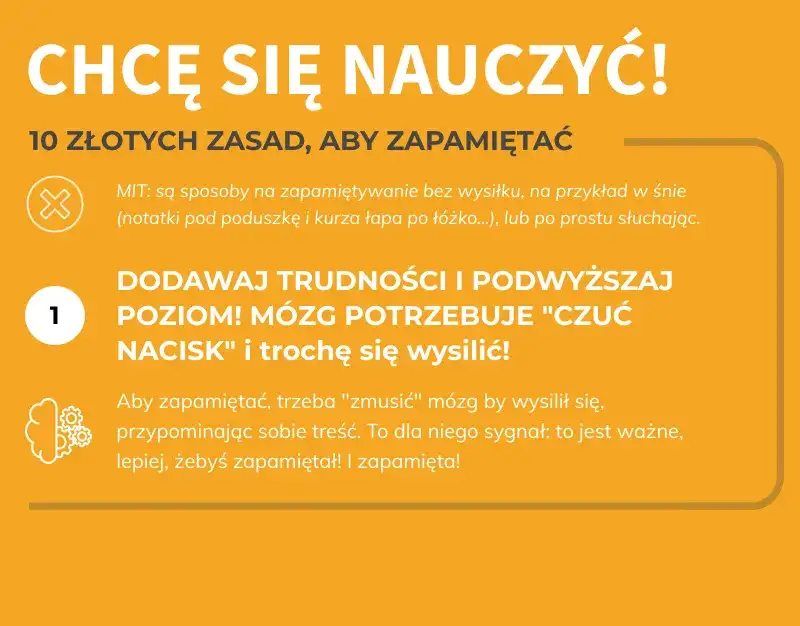 Jak szybciej się uczyć: skuteczne techniki, które naprawdę działają