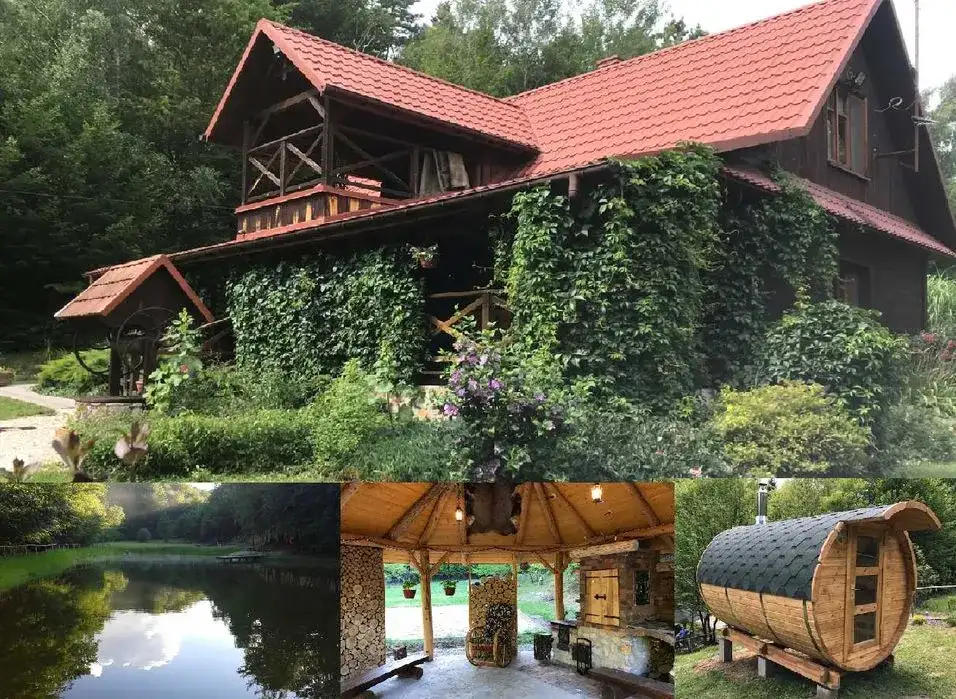 Gdzie na grzyby z noclegiem? Odkryj idealne miejsca na wypoczynek