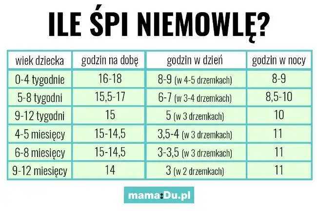 Twój dwumiesięczny szczeniak to śpioch? Ile snu jest normą?