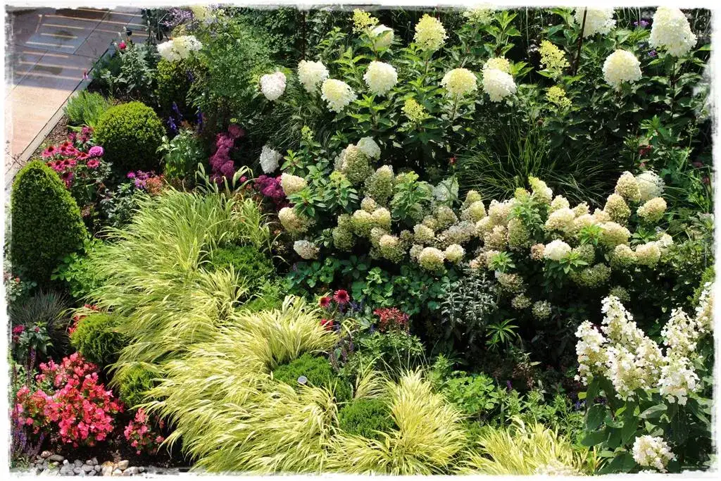 Co posadzić obok kaliny, aby stworzyć piękne kompozycje w ogrodzie