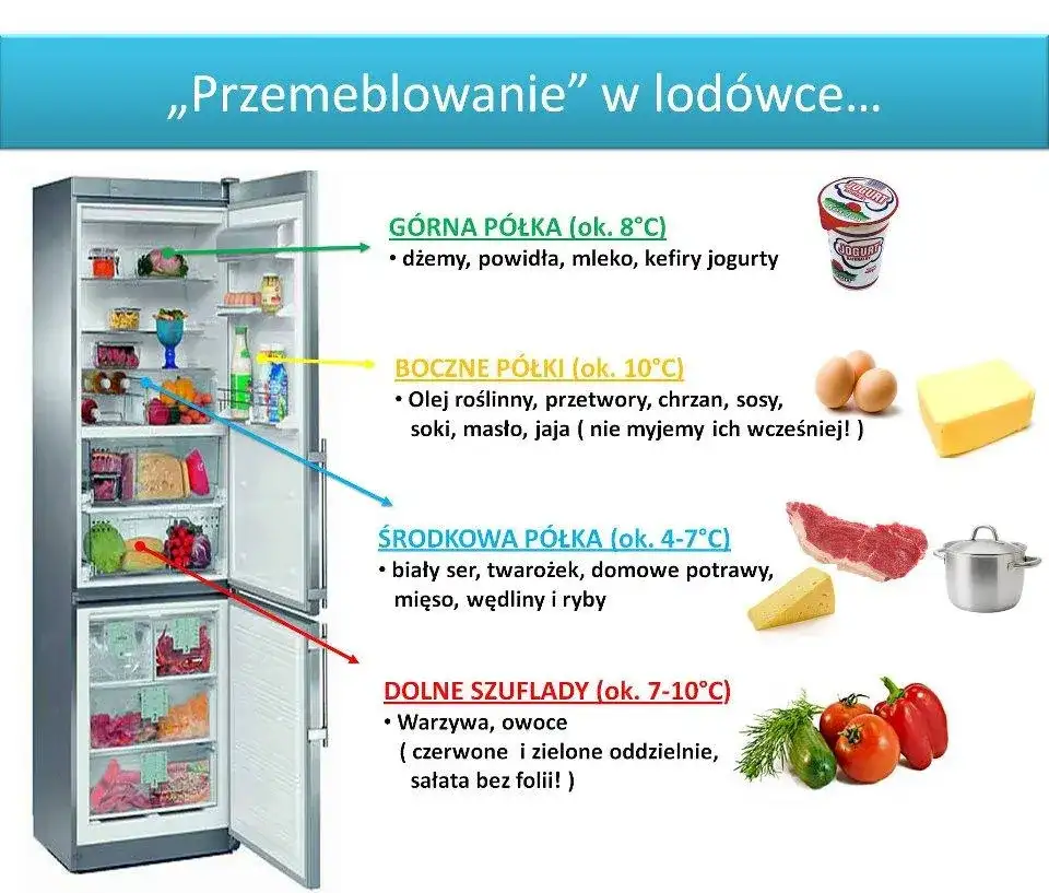 Gdzie najzimniej w lodówce? Przechowuj żywność jak ekspert!