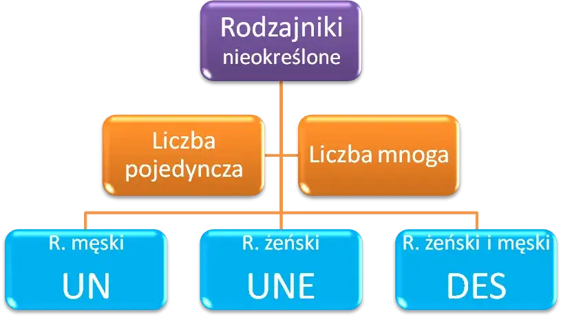 Rodzajniki nieokreślone francuski – jak ich używać i unikać błędów