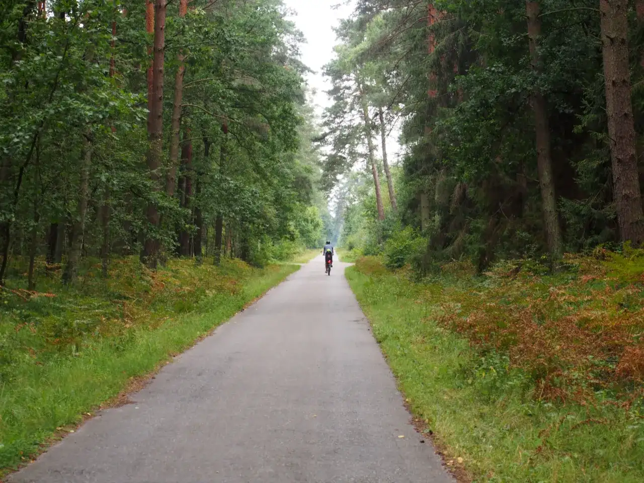 Puszcza Niepołomicka trasy rowerowe mapa – odkryj najlepsze szlaki