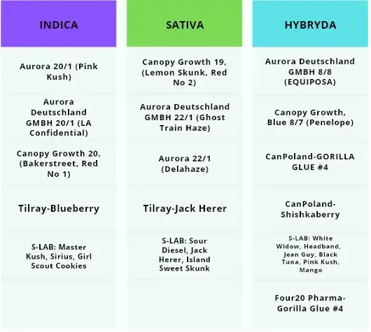 Dopalacze vs Marihuana: Kluczowe Różnice dla Twojego Bezpieczeństwa