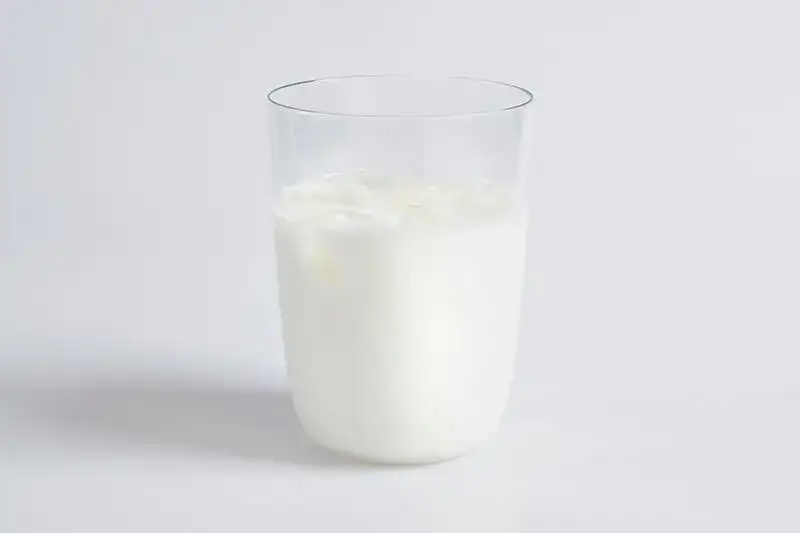 Mleko bez laktozy nie jest wegańskie! Poznaj fakty