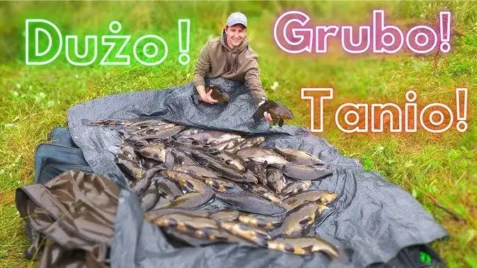 Domowa zanęta na ryby: Przepisy, triki, by łowić więcej i taniej!