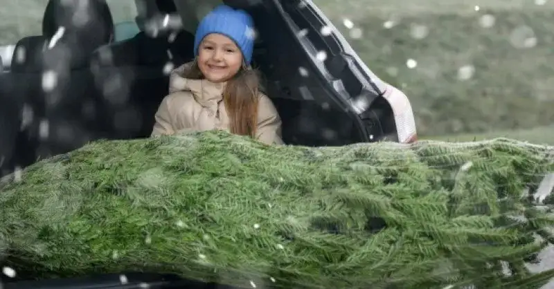 Ile może wystawać ładunek z tyłu naczepy? Sprawdź przepisy i zasady