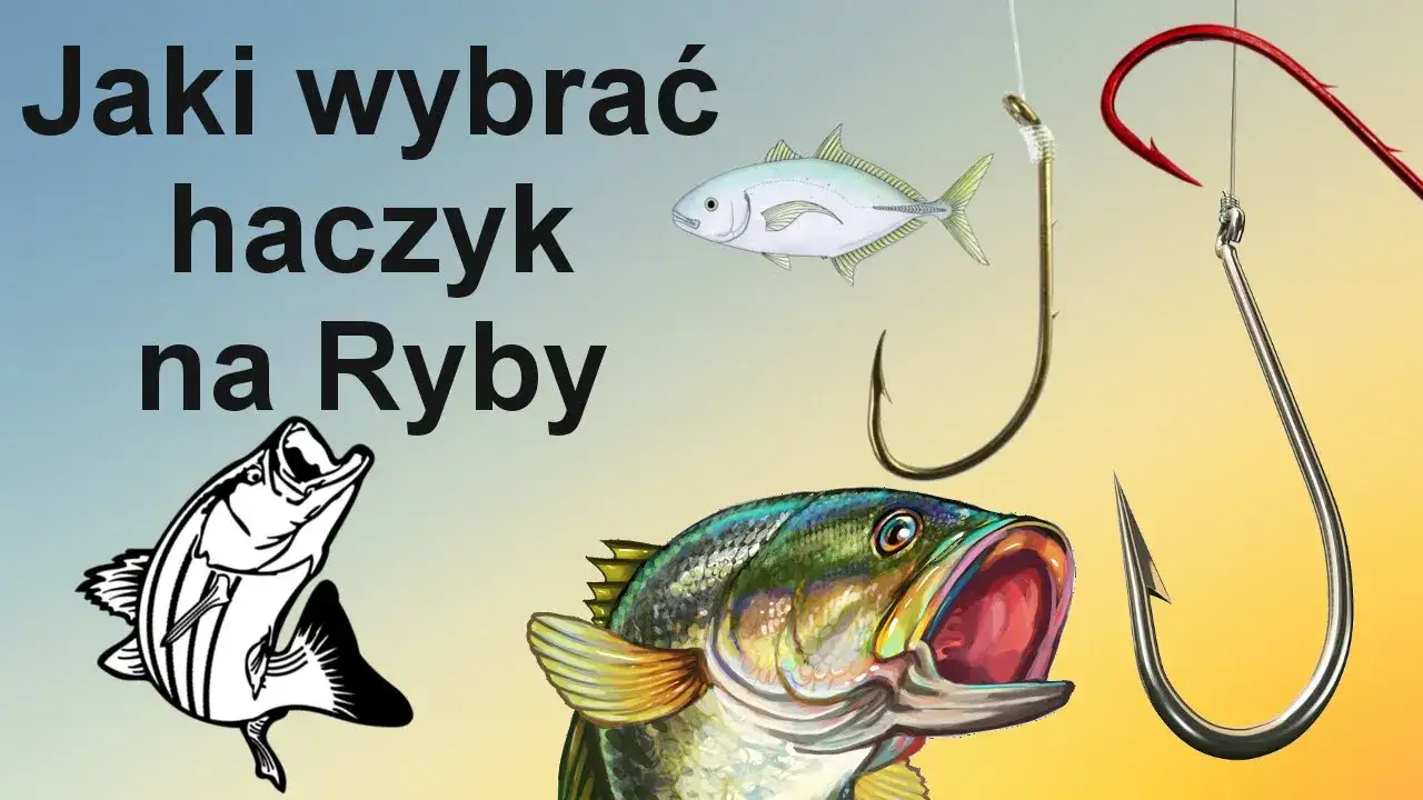 Haczyk nr 8: Na jakie ryby spokojnego żeru? Sprawdź!