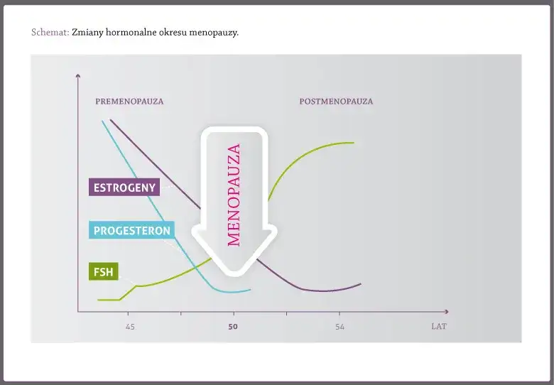 Jajniki po menopauzie: czy nadal produkują hormony? Poznaj prawdę!