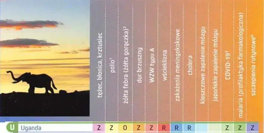 Czy Uganda jest bezpieczna? Aktualne zagrożenia i porady dla podróżujących