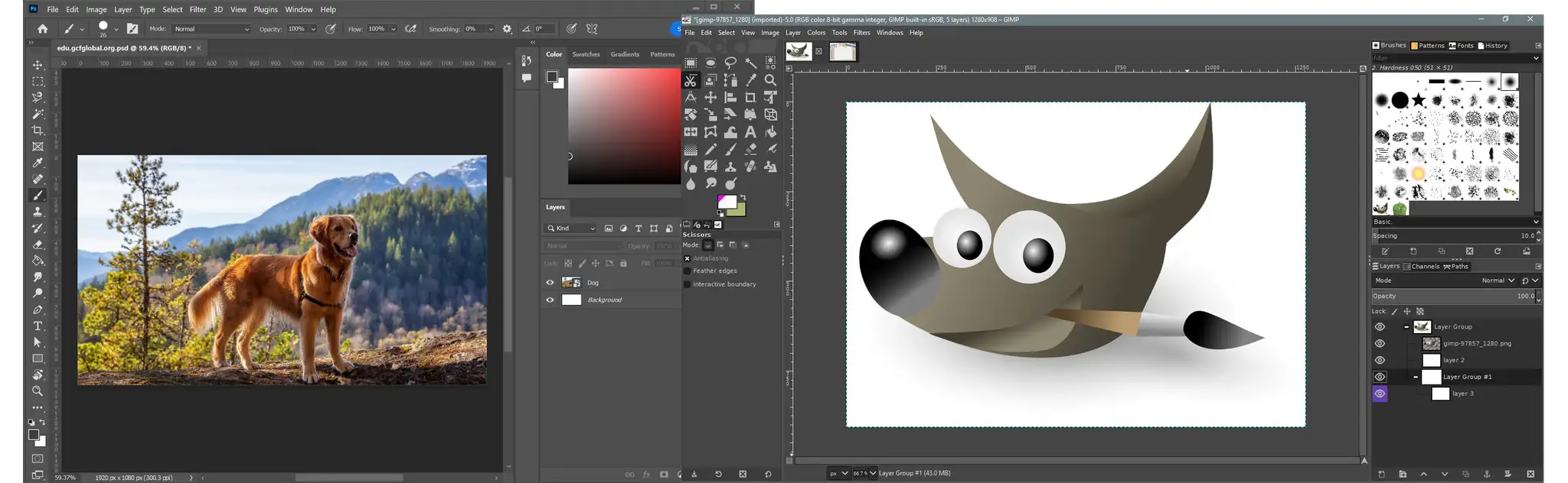 Porównanie interfejsów GIMP i Photoshop. Na ekranie widać zdjęcie psa w górach, a obok logo GIMP z pędzlem.