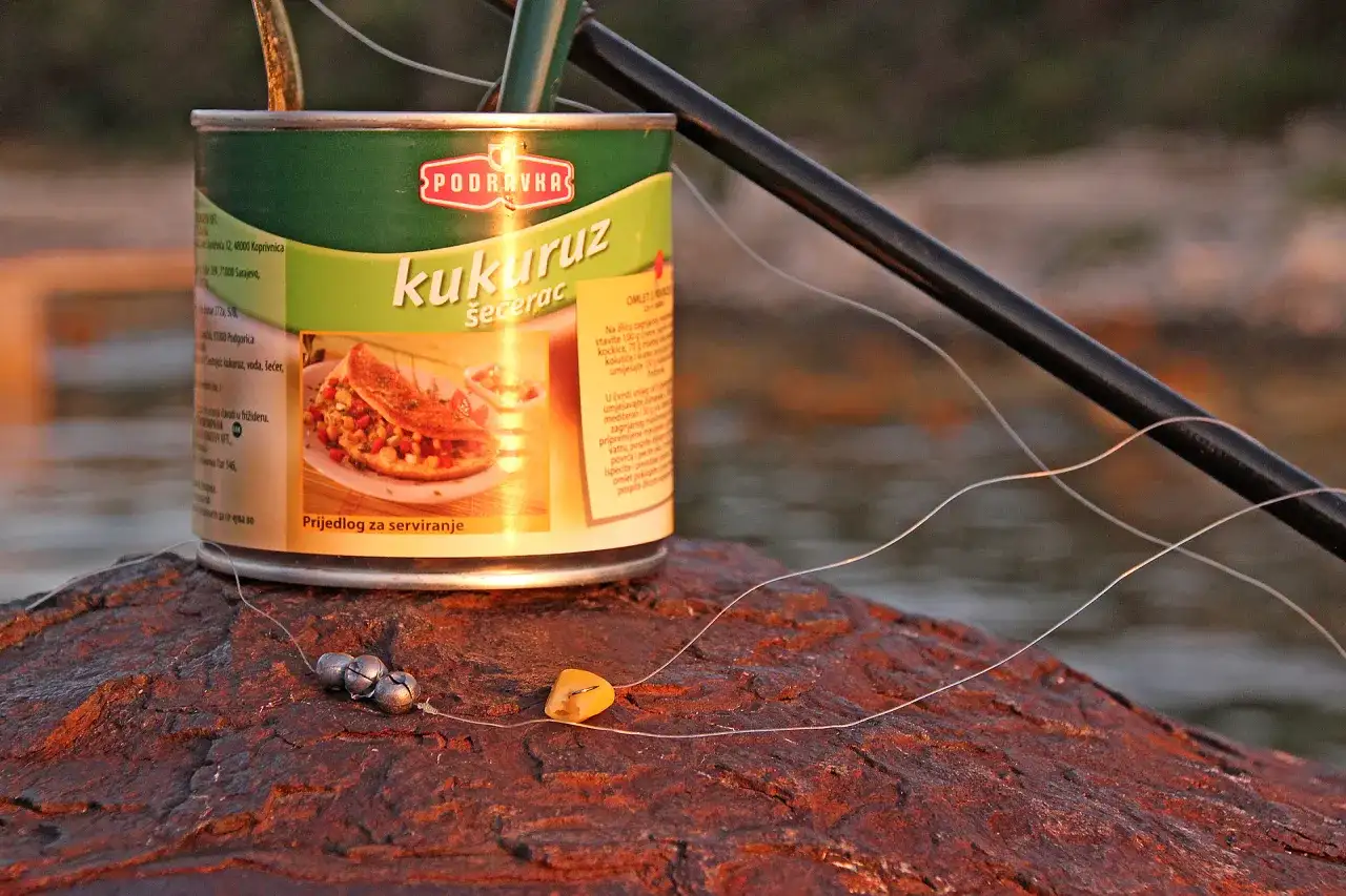 Die besten Köder in Kroatien für erfolgreiches Angeln erleben