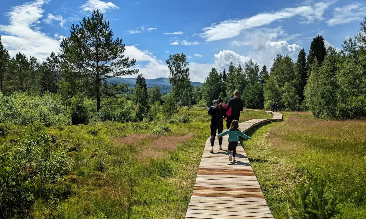 Rodzina spaceruje drewnianą kładką przez malownicze torfowiska Bieszczad.